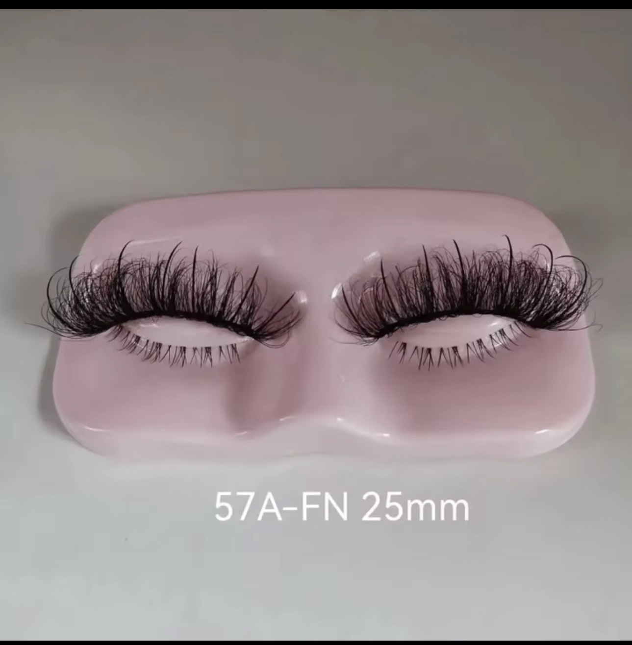 The Elite 5 - Image 6