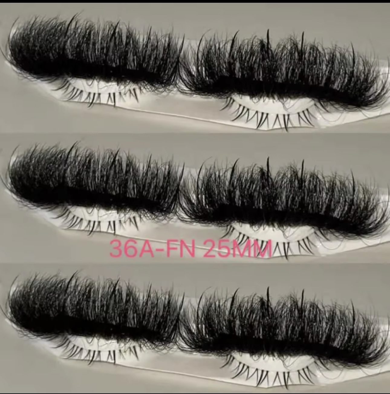 The Elite 5 - Image 5